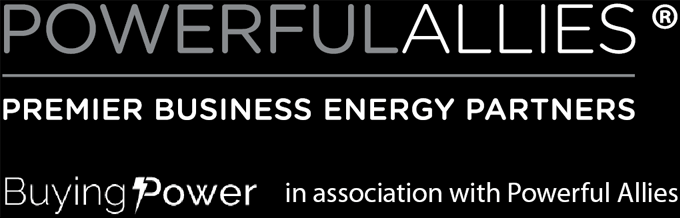 PowerfulAllies - Premier Business Energy Partners