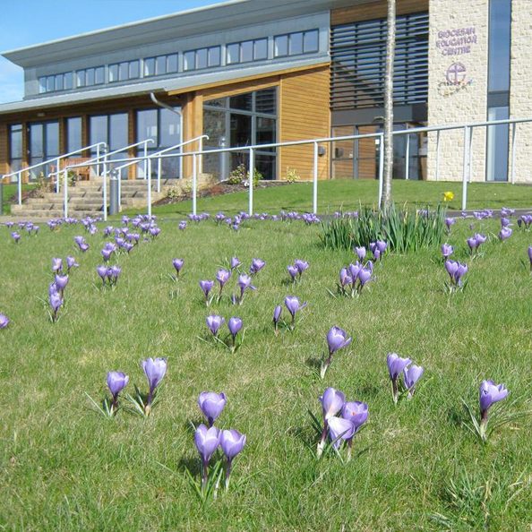 Diocese of Salisbury Academy Trust