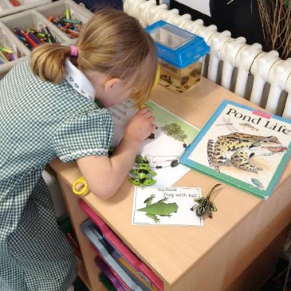 Goldsworth Primary School