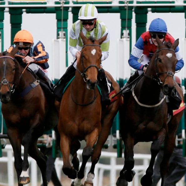 Newbury Racecourse
