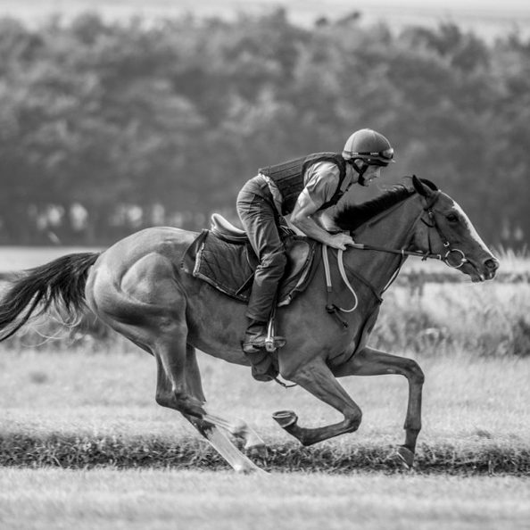 Roger Charlton Stables
