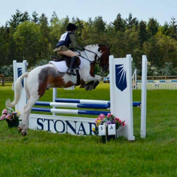 Stonar School