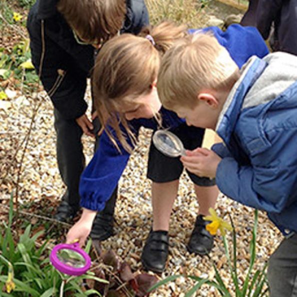 Woodborough School